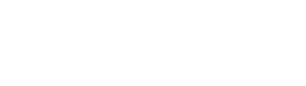 Logo INSA